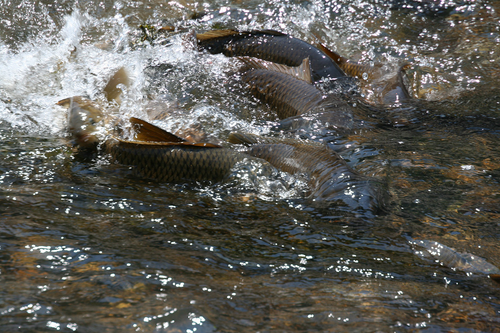 d0148060_19272827.jpg