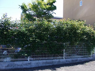 a0104162_20564331.jpg