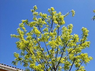 a0104162_20573810.jpg