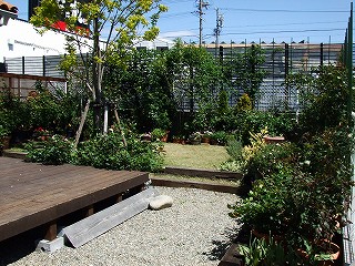 a0104162_2058884.jpg