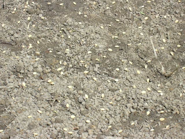 b0139862_10284951.jpg