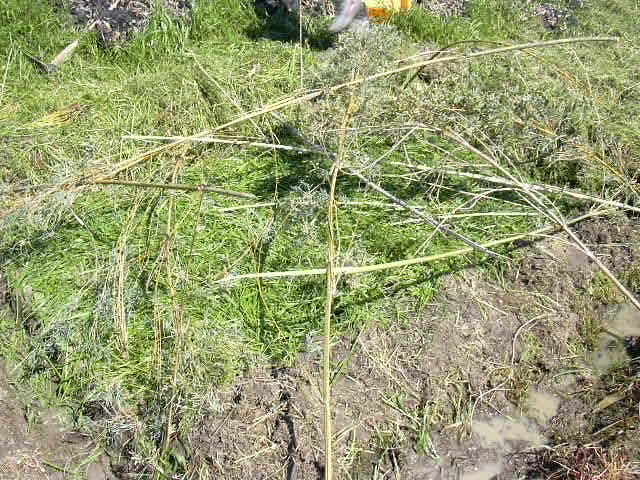 b0139862_10375583.jpg