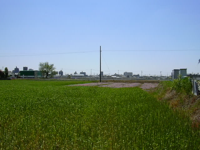 b0139862_1094290.jpg