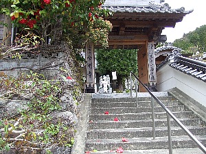 d0128465_1646202.jpg