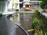 e0041168_11465043.jpg