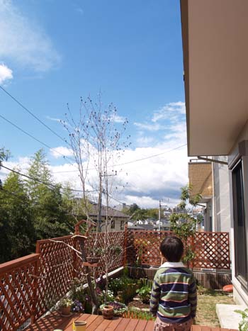 c0122670_39065.jpg