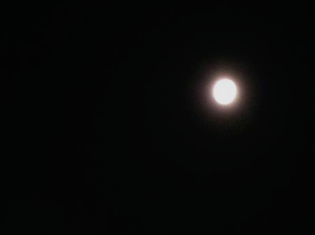 d0147774_1513731.jpg