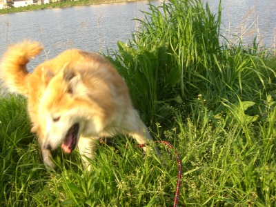 c0078480_22594177.jpg