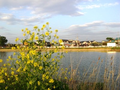 c0078480_23441889.jpg