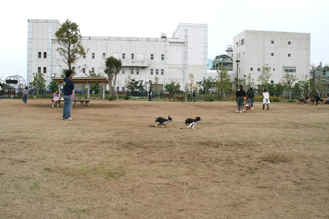 d0151787_14405412.jpg