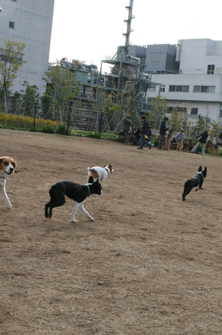 d0151787_14442959.jpg