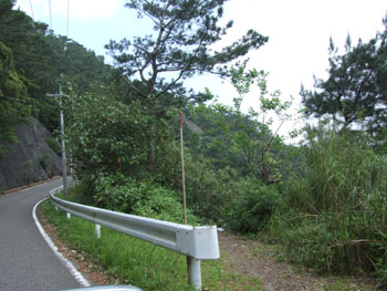 e0028387_21451254.jpg