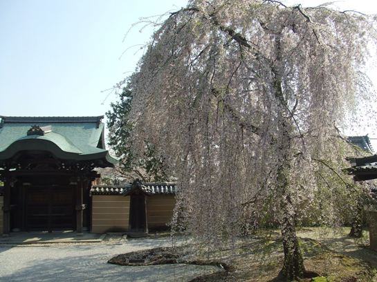 e0030488_0359.jpg