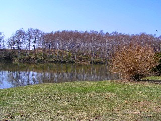 a0067991_113896.jpg