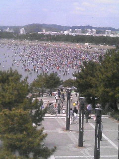 f0024291_1875635.jpg
