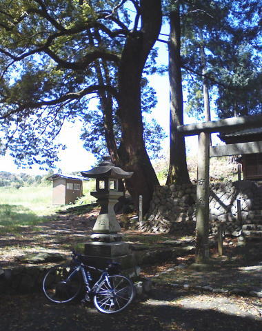 c0087392_0245549.jpg