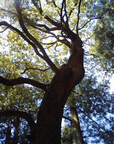c0087392_0251221.jpg