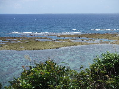 a0100798_22422133.jpg