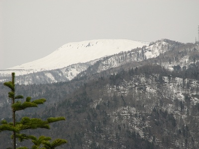 f0157901_8482192.jpg