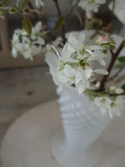 c0129702_22225053.gif