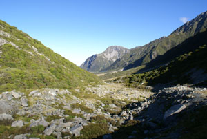 b0040606_15545852.jpg