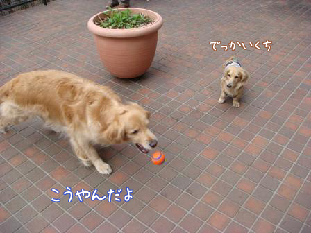 f0064906_18282.jpg