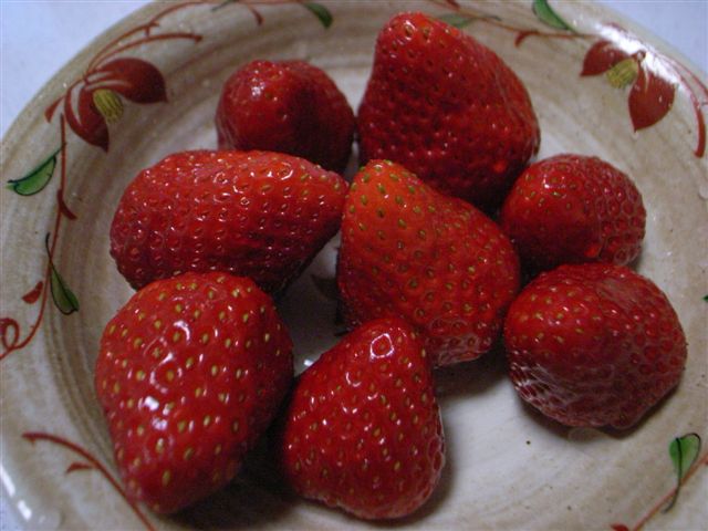 c0056315_23525512.jpg