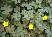 d0042618_22303.jpg