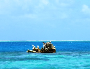 a0043520_22371521.jpg