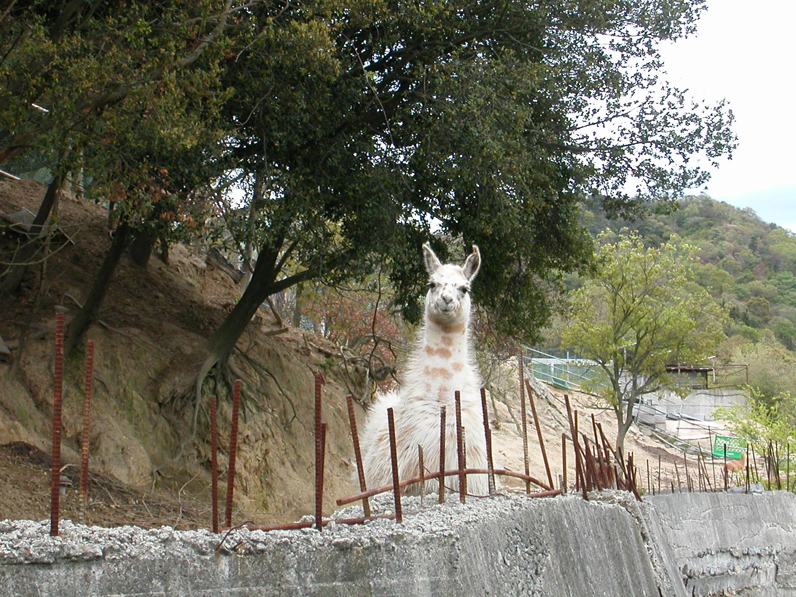 e0136620_21181993.jpg
