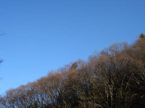 f0033921_22185590.jpg