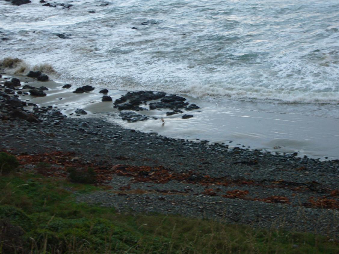 e0131924_12412124.jpg