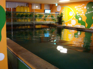 f0158824_22262316.jpg
