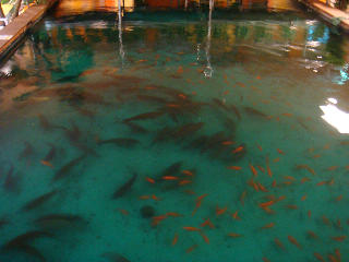 f0158824_22263469.jpg