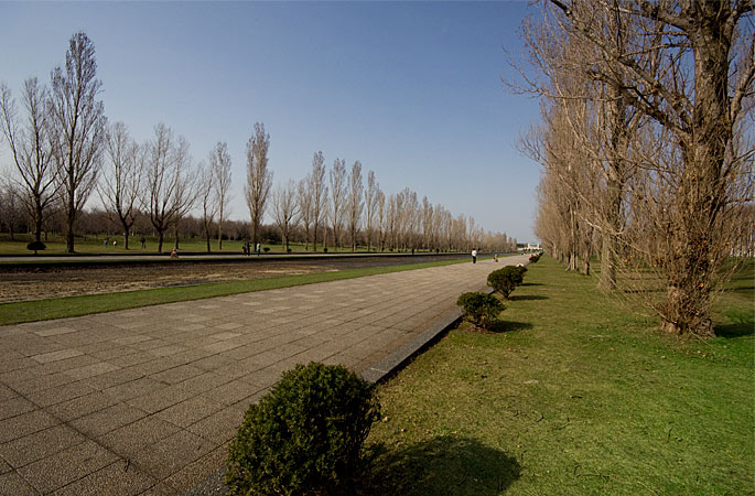 b0085526_917454.jpg