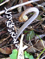 e0112226_18363922.jpg