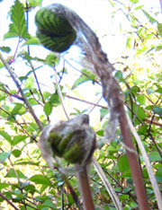 e0112226_1837154.jpg