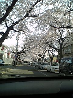 f0083726_15515517.jpg