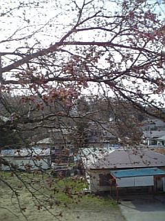 f0083726_15521225.jpg
