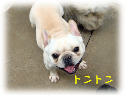 b0078030_0471683.gif