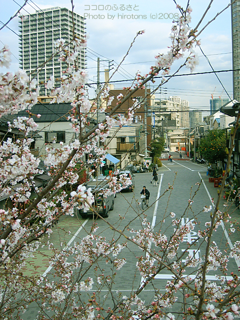 e0016732_23471439.jpg