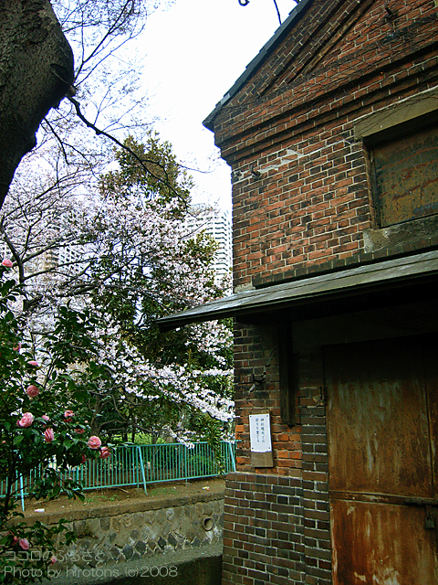 e0016732_23481295.jpg