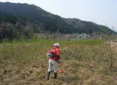 f0118332_23145762.jpg