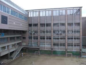 c0086433_341954.jpg