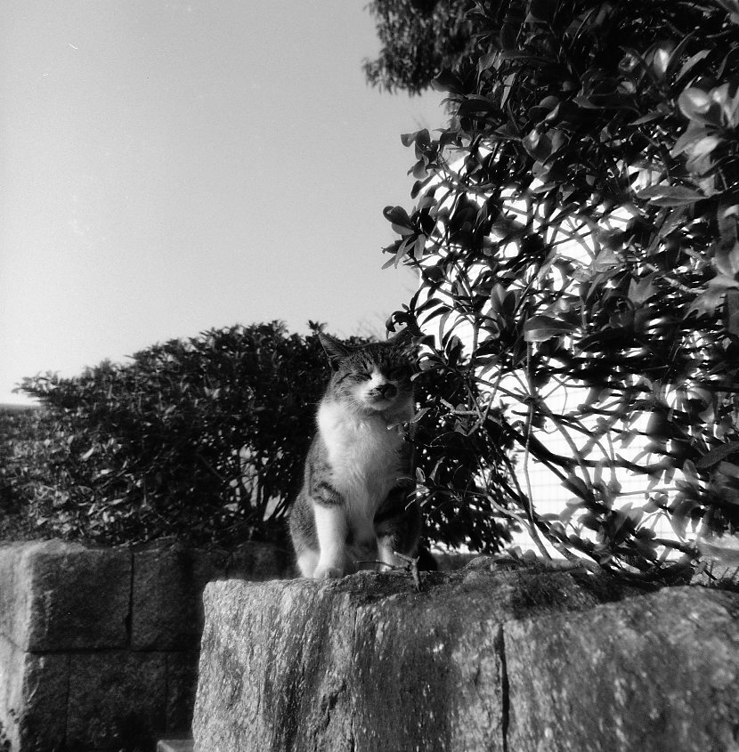 c0158340_1933323.jpg