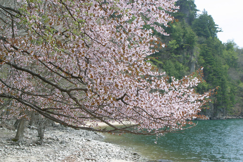 f0160440_9191164.jpg