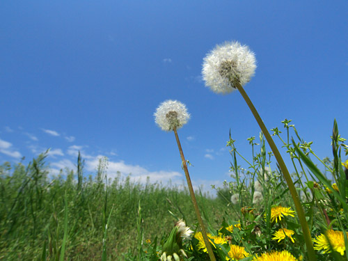a0003746_15441100.jpg