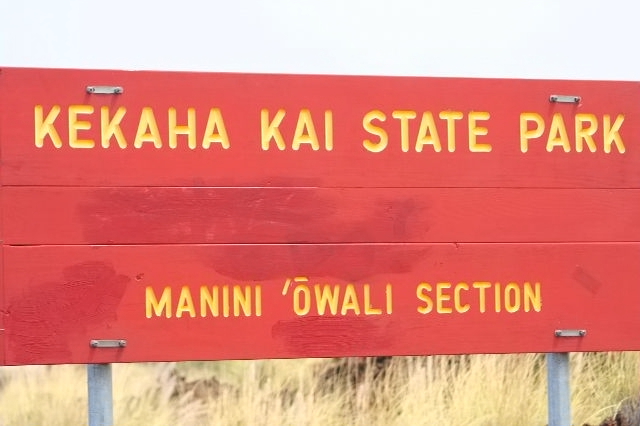 e0129046_4173930.jpg