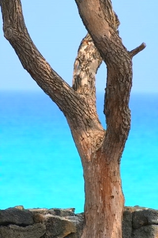 e0129046_423463.jpg