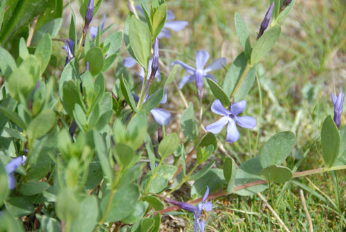 b0006449_1049563.jpg